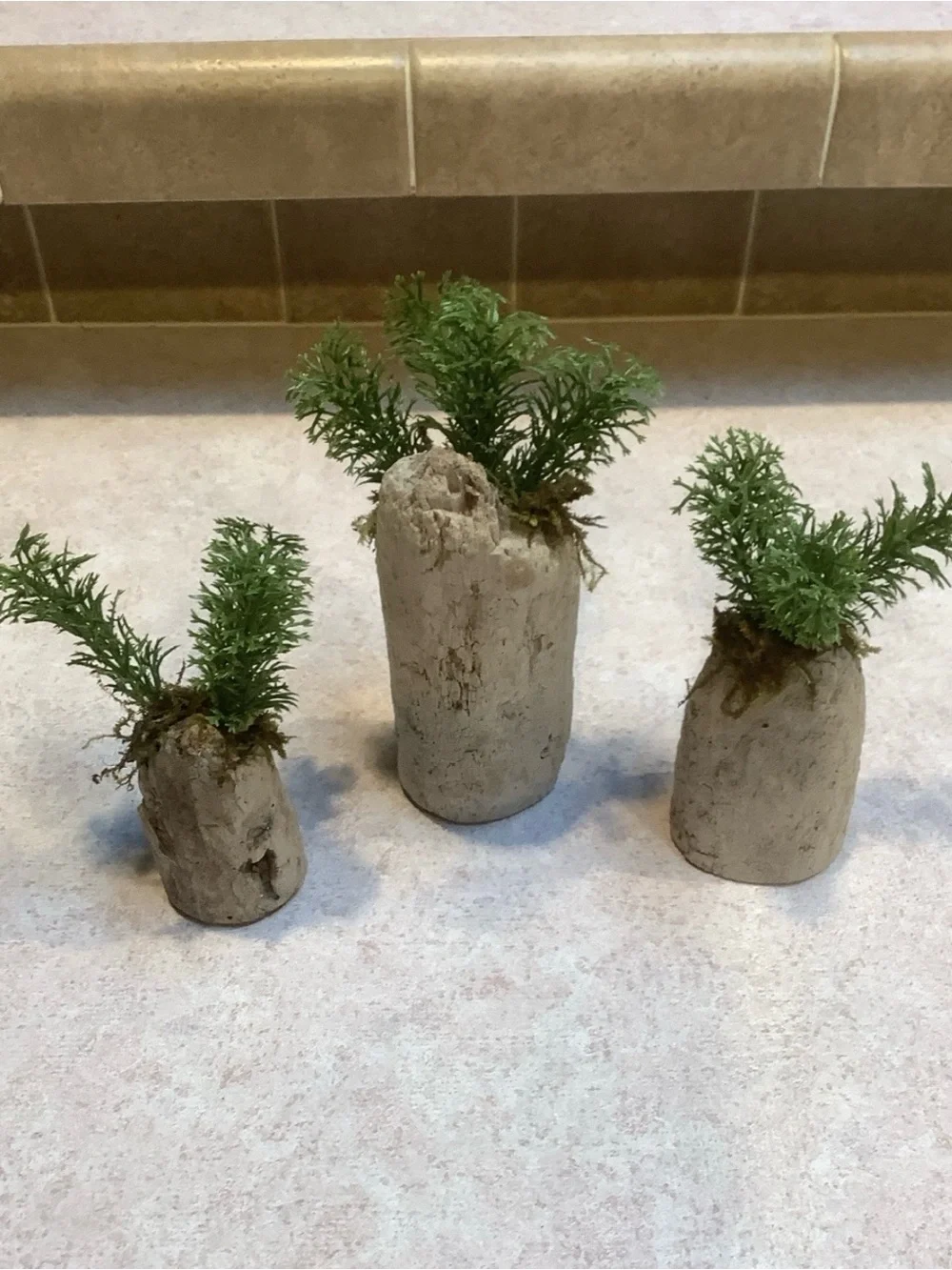 Driftwood Art, Driftwood Faux Plants , Driftwood Faux Greenery Coastal Art